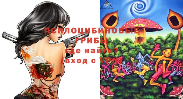 спайс Мегион