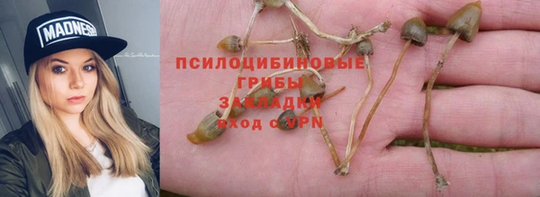 MESCALINE Медногорск