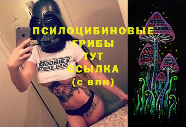бутират Белокуриха