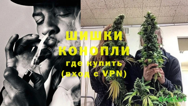 бутират Белокуриха